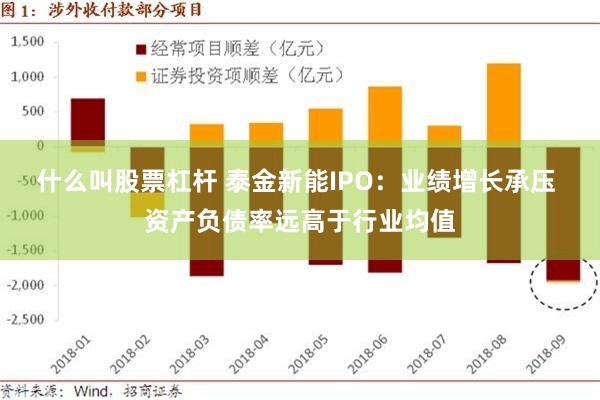 什么叫股票杠杆 泰金新能IPO：业绩增长承压 资产负债率远高于行业均值