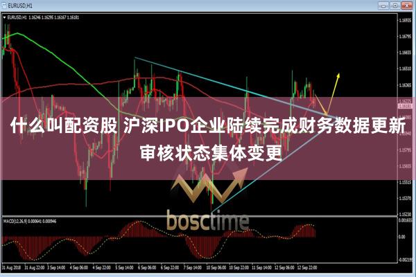 什么叫配资股 沪深IPO企业陆续完成财务数据更新 审核状态集体变更