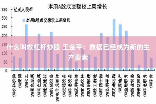 什么叫做杠杆炒股 王金平：数据已经成为新的生产要素