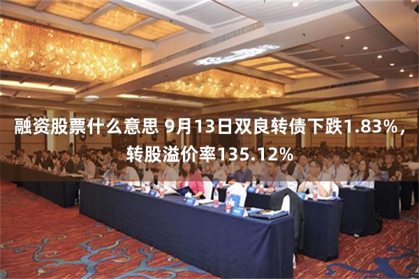 融资股票什么意思 9月13日双良转债下跌1.83%，转股溢价率135.12%