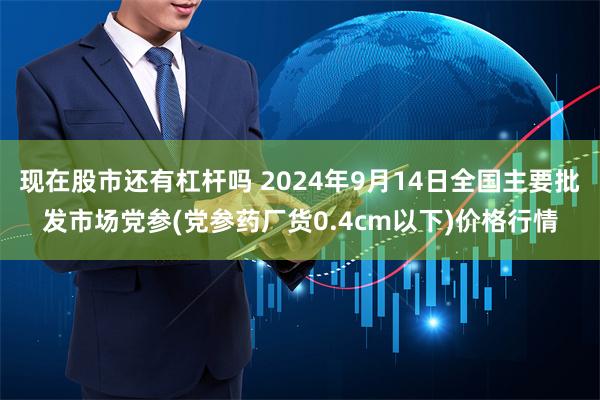 现在股市还有杠杆吗 2024年9月14日全国主要批发市场党参(党参药厂货0.4cm以下)价格行情