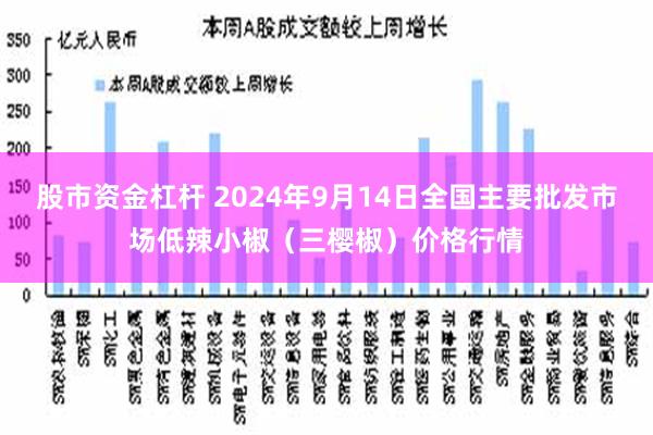 股市资金杠杆 2024年9月14日全国主要批发市场低辣小椒（三樱椒）价格行情