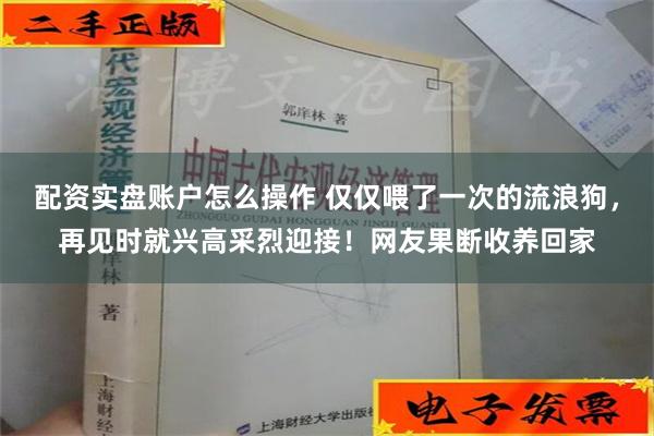 配资实盘账户怎么操作 仅仅喂了一次的流浪狗，再见时就兴高采烈迎接！网友果断收养回家