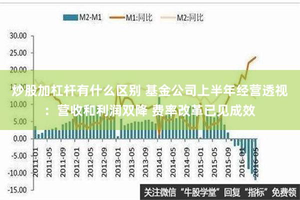 炒股加杠杆有什么区别 基金公司上半年经营透视：营收和利润双降 费率改革已见成效
