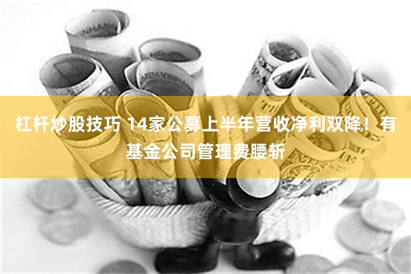 杠杆炒股技巧 14家公募上半年营收净利双降！有基金公司管理费腰斩