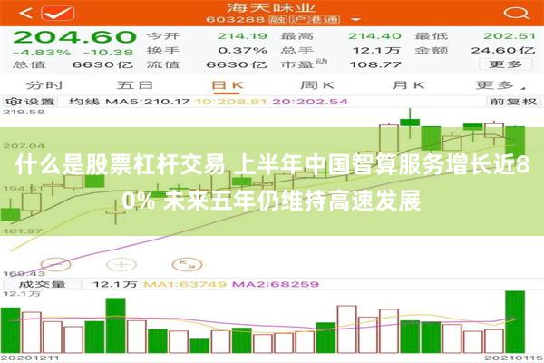 什么是股票杠杆交易 上半年中国智算服务增长近80% 未来五年仍维持高速发展