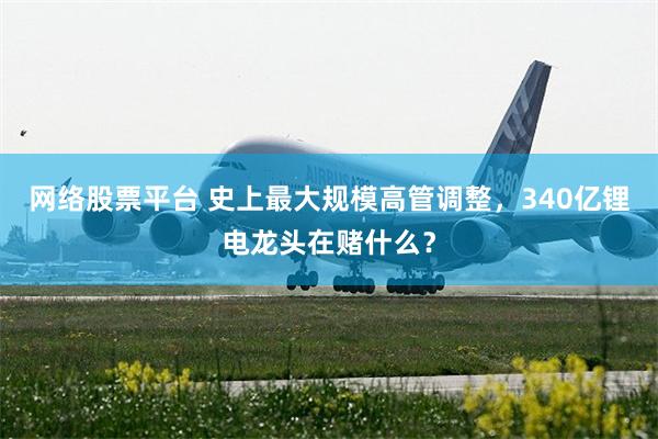 网络股票平台 史上最大规模高管调整，340亿锂电龙头在赌什么？