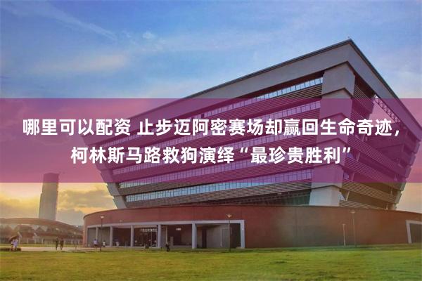 哪里可以配资 止步迈阿密赛场却赢回生命奇迹，柯林斯马路救狗演绎“最珍贵胜利”