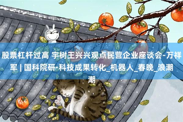 股票杠杆过高 宇树王兴兴观点民营企业座谈会-万祥军 | 国科院研·科技成果转化_机器人_春晚_浪潮