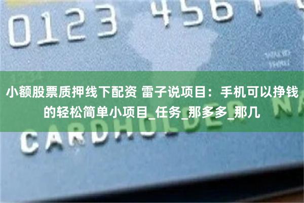 小额股票质押线下配资 雷子说项目：手机可以挣钱的轻松简单小项目_任务_那多多_那几