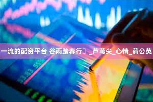 一流的配资平台 谷雨踏春行​_芦苇尖_心情_蒲公英