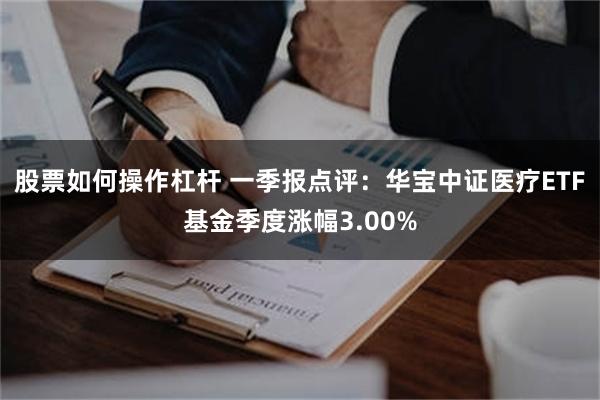 股票如何操作杠杆 一季报点评：华宝中证医疗ETF基金季度涨幅3.00%
