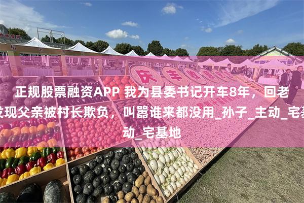 正规股票融资APP 我为县委书记开车8年，回老家发现父亲被村长欺负，叫嚣谁来都没用_孙子_主动_宅基地