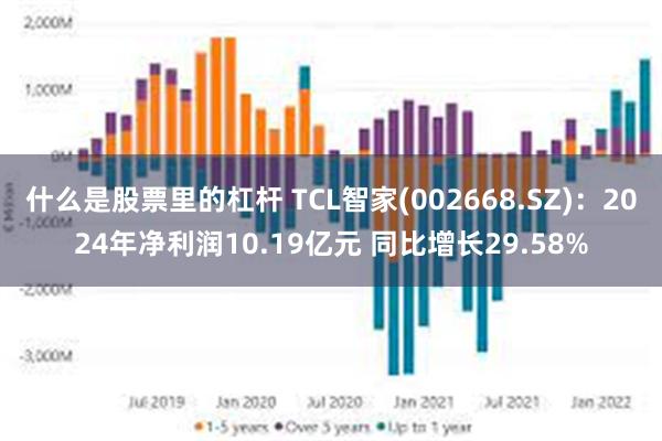 什么是股票里的杠杆 TCL智家(002668.SZ)：2024年净利润10.19亿元 同比增长29.58%