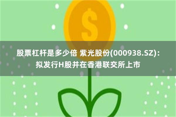 股票杠杆是多少倍 紫光股份(000938.SZ)：拟发行H股并在香港联交所上市