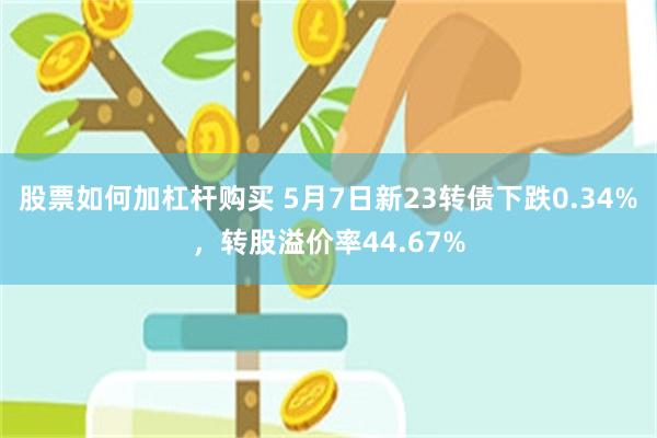 股票如何加杠杆购买 5月7日新23转债下跌0.34%，转股溢价率44.67%