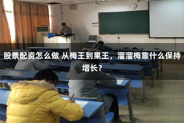 股票配资怎么做 从梅王到果王，溜溜梅靠什么保持增长？