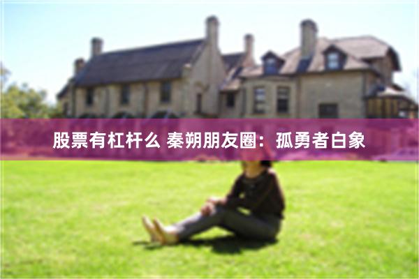 股票有杠杆么 秦朔朋友圈：孤勇者白象