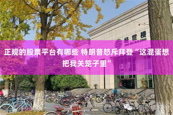 正规的股票平台有哪些 特朗普怒斥拜登“这混蛋想把我关笼子里”