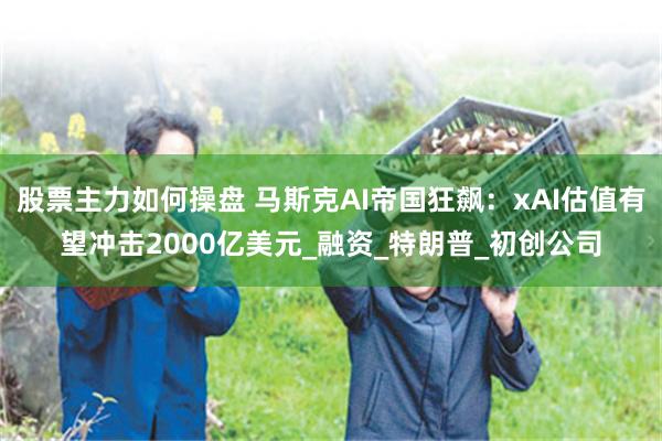 股票主力如何操盘 马斯克AI帝国狂飙：xAI估值有望冲击2000亿美元_融资_特朗普_初创公司