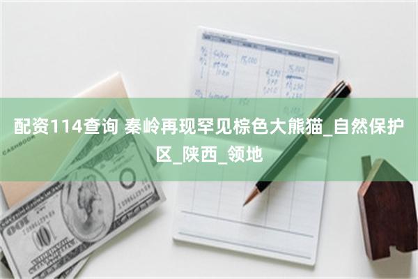 配资114查询 秦岭再现罕见棕色大熊猫_自然保护区_陕西_领地