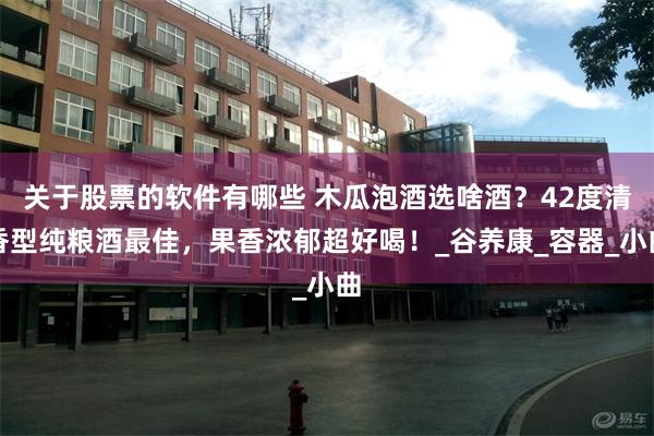 关于股票的软件有哪些 木瓜泡酒选啥酒？42度清香型纯粮酒最佳，果香浓郁超好喝！_谷养康_容器_小曲