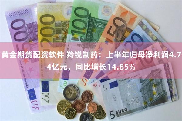 黄金期货配资软件 羚锐制药：上半年归母净利润4.74亿元，同比增长14.85%