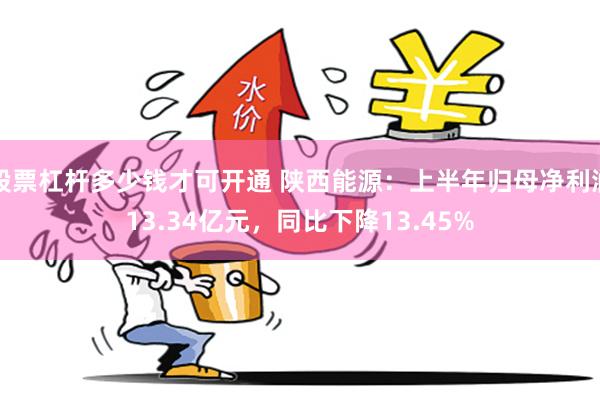 股票杠杆多少钱才可开通 陕西能源：上半年归母净利润13.34亿元，同比下降13.45%